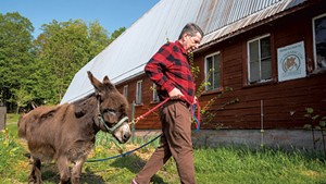Anson Tebbetts walking his miniature donkeys outside his home in Cabot