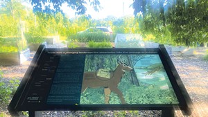 A sign in front of a community garden at the Intervale Center