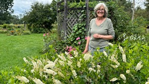 A woman stands next to a flowering shrub in a garden