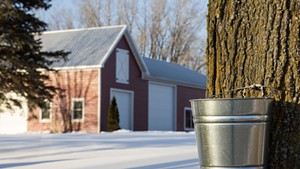 Maple sugaring