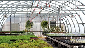 Greenhouse at Red Wagon Plants