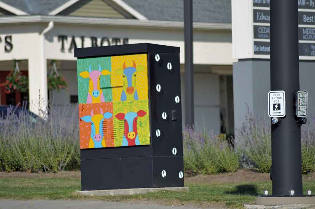 Who's Behind the Artwork on South Burlington's Utility Boxes