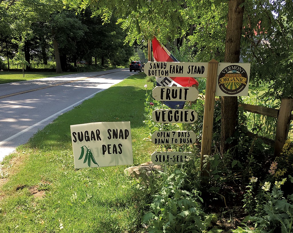 Vermonting: A Bike Ride Around Isle La Motte Turns Up History, Religion and  Very Old Rocks | Vermonting | Seven Days | Vermont's Independent Voice