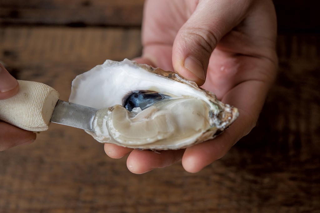At Pop-Up Market Caspian Oyster Depot, a Couple Comes Home to