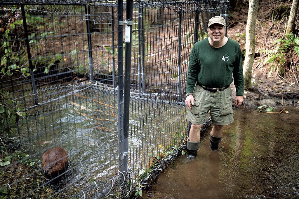 A Roxbury Man Builds a Customized Beaver Abode — and Runs Into a ...