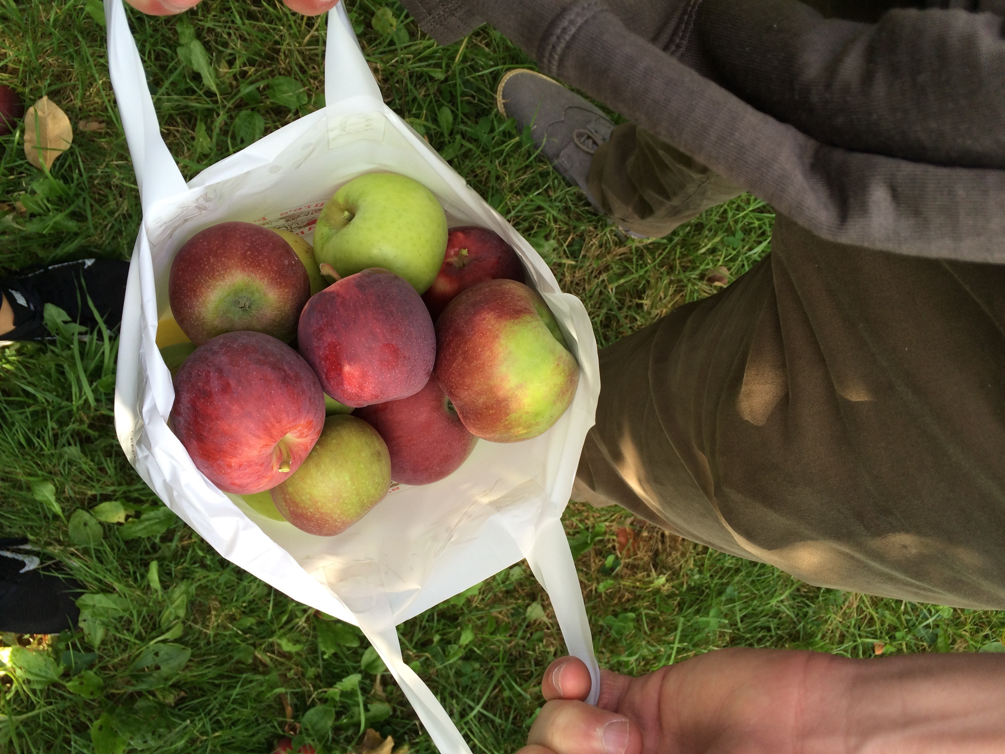 McIntoshApple Box - Champlain Orchards