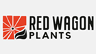 Red Wagon Plants