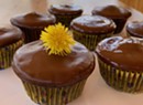 Home on the Range: Magical Cocoabean Cupcakes