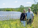 With Bee the Change, Weybridge Couple Fills Solar Fields With Insect-Friendly Habitat