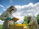WTF: Why Do Honeybees Swarm?