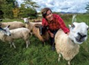 Albany Entrepreneur Links Sheep Farmers With the Yarn Market