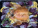 Home on the Range: Roast Chicken With Radicchio, Shallots and Delicata Squash