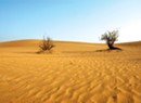 From Soaked to Sober: How a Booze-Addicted Mom Went Dry in the Arabian Desert