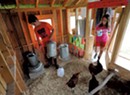 Habitat: School Garden & Chicken Coop