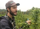 Cannabis Compliance Agents Ensure That Vermont Growers Know — and Follow — the Rules