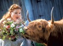 A Tunbridge Sheep Farm-Turned-Wedding Venue Blends the Rustic With the Elegant