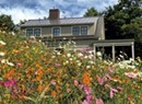 A Shelburne-Based Wildflower Biz Is a Leader in Meadowscaping