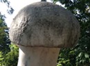 What's Up With Burlington's Phallic Mushroom Sculpture?
