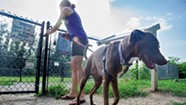 Fetching and Kvetching: A Dog Park Annoys Some of Its Neighbors