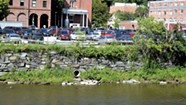 To Save Paradise, a New Vermont Law Calls for Better Parking Lots