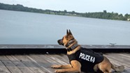 K-9 Ozzy Police Dog Is a Newport Celebrity