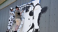 Muralist DJ Barry Brings World Cow to Montpelier