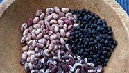 Rediscovering the Lost Art of Cooking Dried Beans