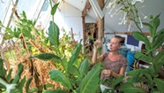 The Vermont Center for Integrative Herbalism Finds New Home at Goddard College