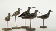 Sleuthing the Origins of Five Controversial Decoys at the Shelburne Museum