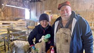 Q&amp;A: Chet and Kate Parsons Talk About Their Final Lambing Season in Richford