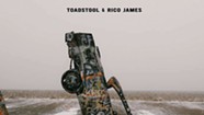 ToadStool & Rico James, 'The Outskirts of Dreamland'