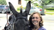 Delivering Eggs by Donkey in Montpelier