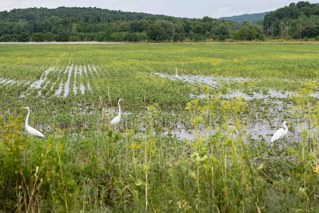 Vermont Flooding, July 2024