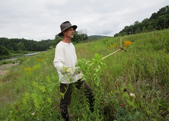 Mike Bald's Mission to Eradicate Invasive Plants