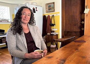 Vermont Rep. Emilie Kornheiser Sees Raising Revenue as Part of Her Mission
