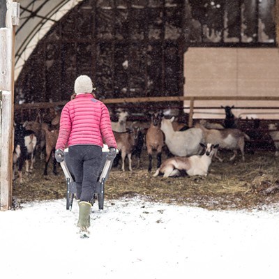Vermont Farms in Wintertime