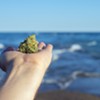 The Cannabis Catch-Up: Legal Weed Won't Extend Into Lake Champlain