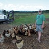 Solid Waste or Chicken Feed? Regulatory Change Riles Farmers