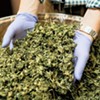 Rules Would Put a Premium on Hemp Products Made in Vermont