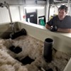 The Alchemist Cannery and Brewery Go High-Tech to Keep the Water Clean