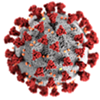 Vermont Announces More Coronavirus Cases