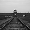 Survey of Young Vermonters Highlights Ignorance of the Holocaust