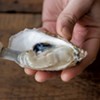 At Pop-Up Market Caspian Oyster Depot, a Couple Comes Home to Bristol With Fish in Tow