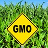 Proposed National GMO Labeling Standards Would Nix Vermont Law