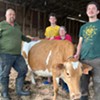 Stuck in Vermont: Meet Earl & Jackson Ransom and Amy Huyffer of Strafford Organic Creamery at Rockbottom Farm