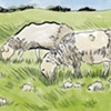 Deep Graze: Bridport Sheep Farmers Use Low-Impact Farming to Fight Climate Change