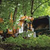 Teachers Tree Service Schools Homeowners on Healthy Arboreal Landscapes