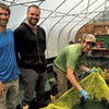Cultivating Spirulina on a Vermont Farm