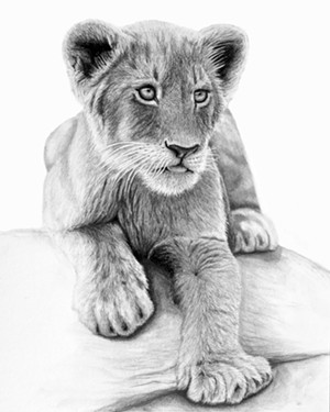 COURTESY OF CORRINA THURSTON - Lion cub print by Corrina Thurston