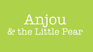 Anjou & the Little Pear